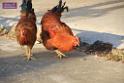 0812sian_sk_IMG_1333