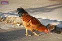 0812sian_sk_IMG_1335