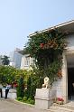 080309a_DSC_0851