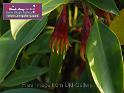0701_DSCF0243