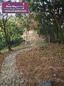 saikung