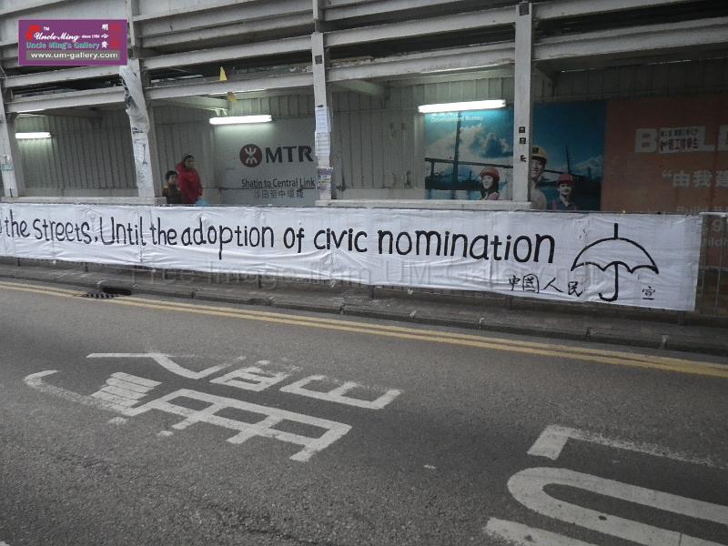 20141207sm-occupyadmiralty-IMGP0722.JPG