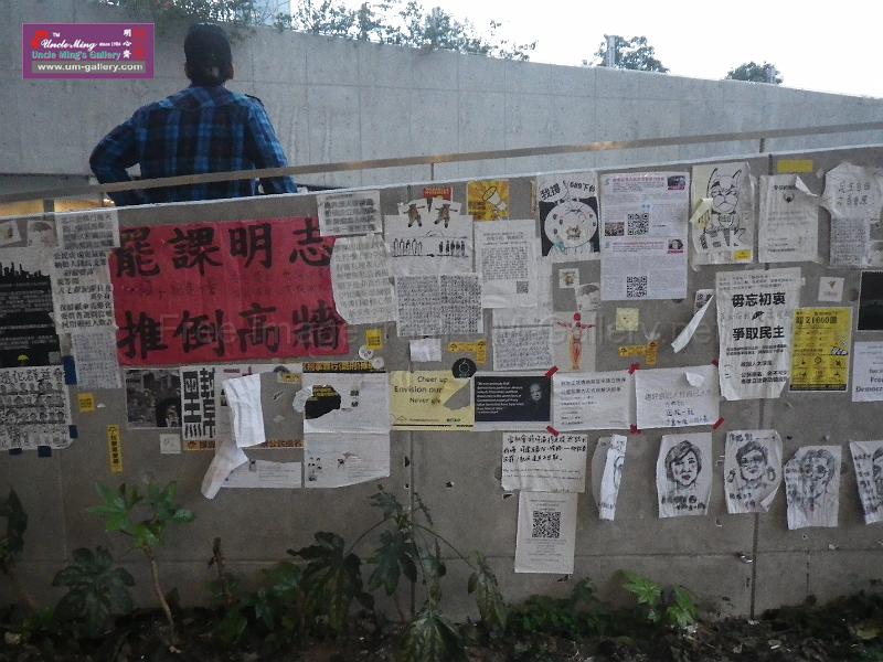 20141207sm-occupyadmiralty-IMGP0758.JPG