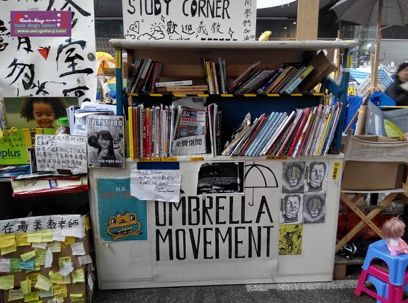 sm-occupyadmiralty-IMG_20141207_165137.jpg