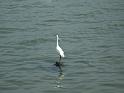 080406sm_DSCF3305