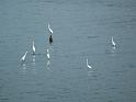 080406sm_DSCF3306